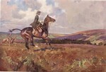 Moorland Gallop Exmoor