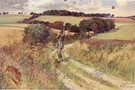 Partridge Shooting - Image 1