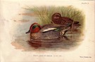 Teal-SOLD - Image 1