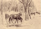 Winter in The New Forest - Image 1