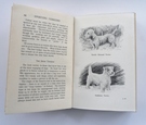 Sporting Terriers: Their History, Training and Management 1st Ed - Image 4