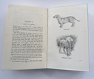 Sporting Terriers: Their History, Training and Management 1st Ed - Image 5